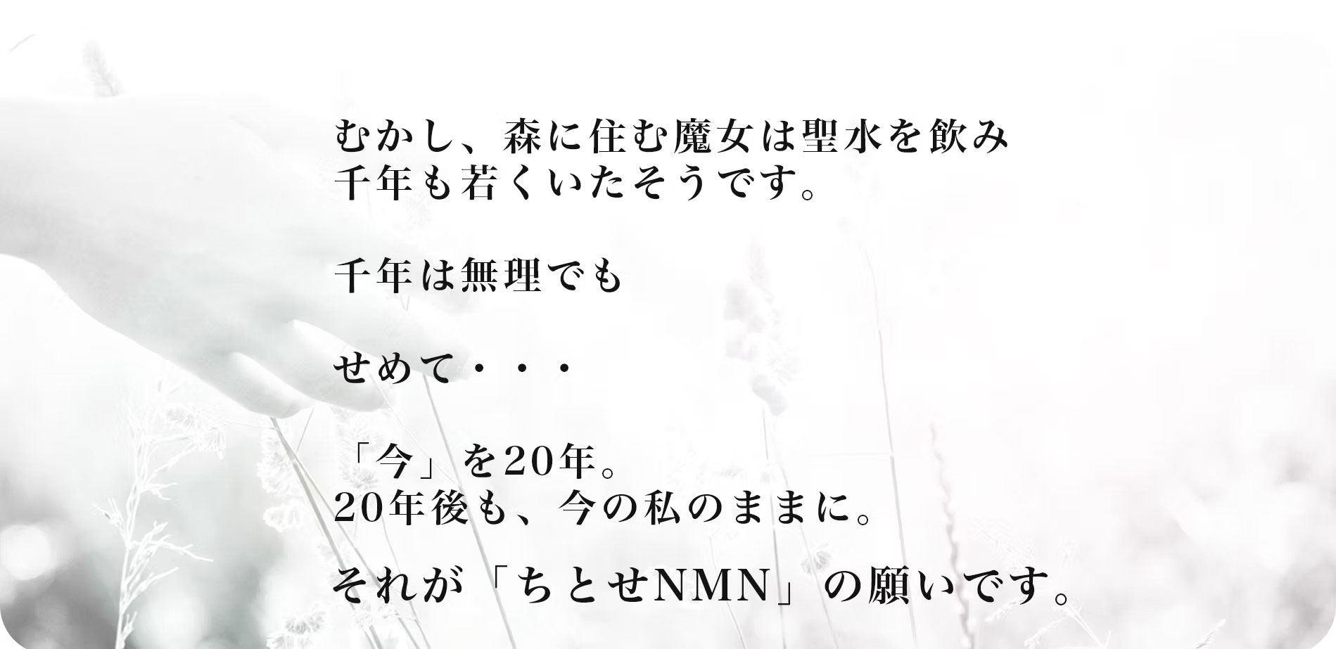 むかし、森にすむ魔女は聖水を飲み千年も若くいたそうです